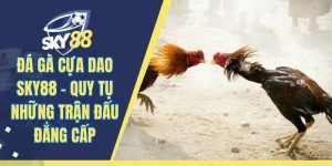 Đá Gà Cựa Dao SKY88 - Quy Tụ Những Trận Đấu Đẳng Cấp