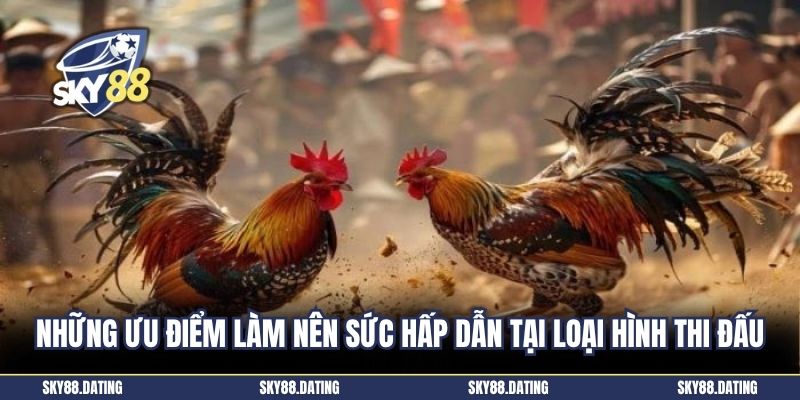 Những ưu điểm làm nên sức hấp dẫn tại loại hình thi đấu